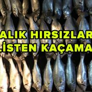 Balık Hırsızları Polisten Kaçamadı!