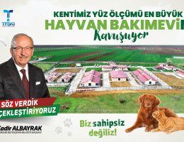KENTİMİZ YÜZ ÖLÇÜMÜ EN BÜYÜK SAHİPSİZ HAYVAN GEÇİCİ BAKIMEVİNE KAVUŞUYOR